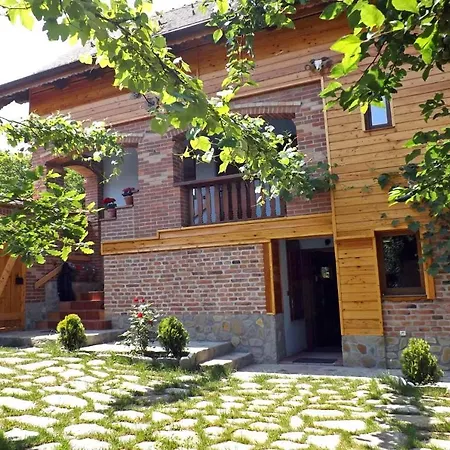 Casa Zollo * Sălişte