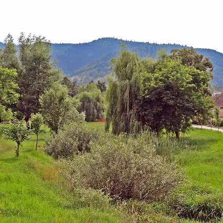 Apartamento Casa Zollo Sălişte