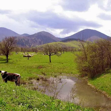 Casa Zollo Apartamento Sălişte